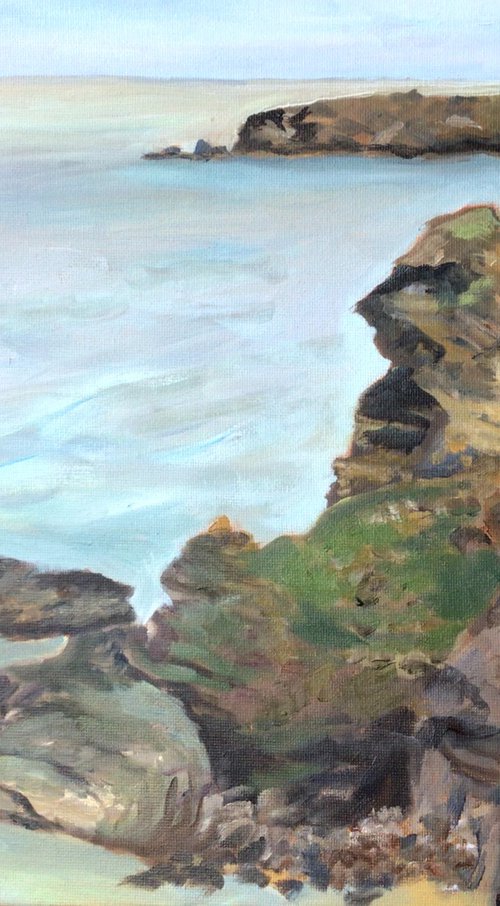Cornish Rocky Coast - An original 'plein air' oil painting by Julian Lovegrove Art