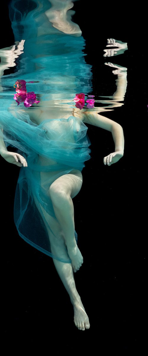 Dancing Flowers - underwater photograph - print on paper by Alex Sher