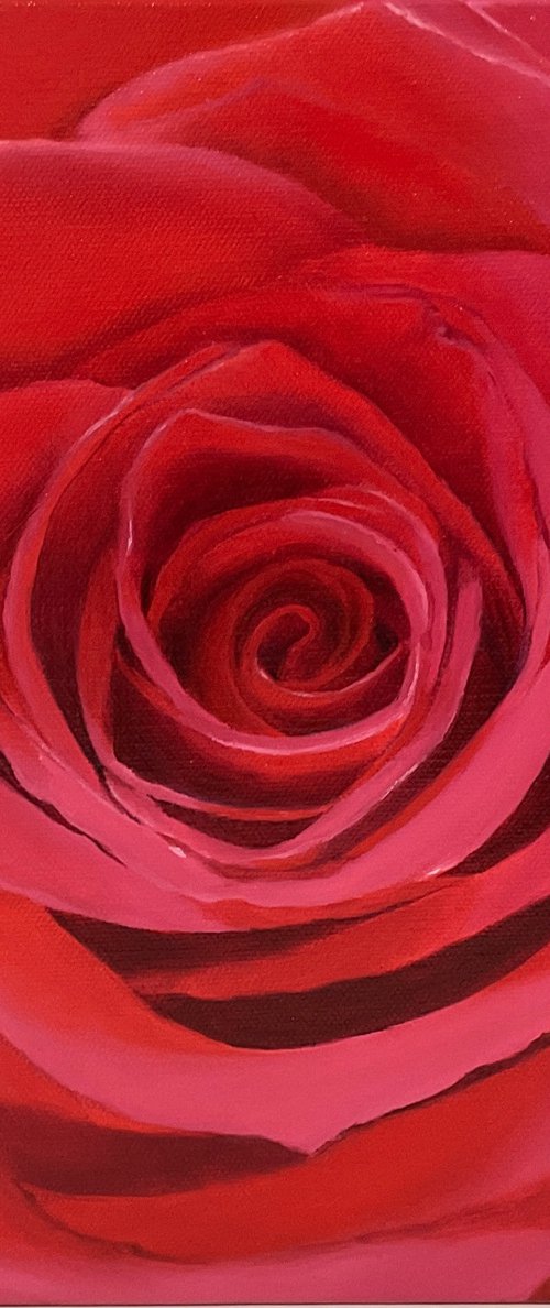 True Love. Rose by Alla Kallass