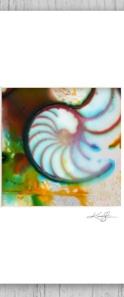 Matted Nautilus Shell 3 - Painting by Kathy Morton Stanion by Kathy Morton Stanion