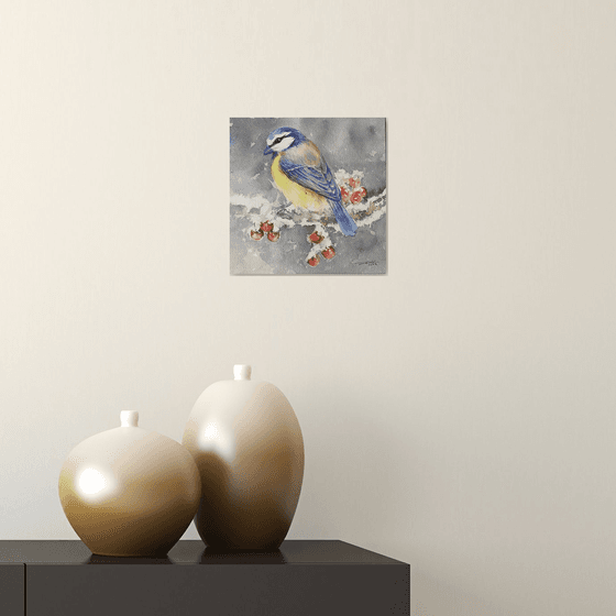 Blue Tit and Winterberries