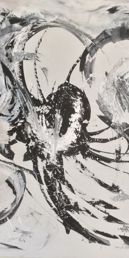 Spider's Dream by Evangelos Vangelatos