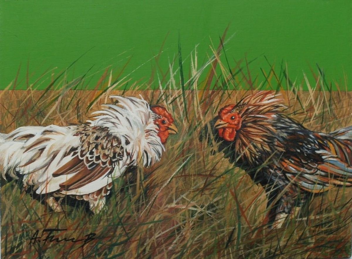 Photorealistic Animal Oil Painting By Alexander Titorenkov, 9 X 7, Cockfight 1, Original Artwork