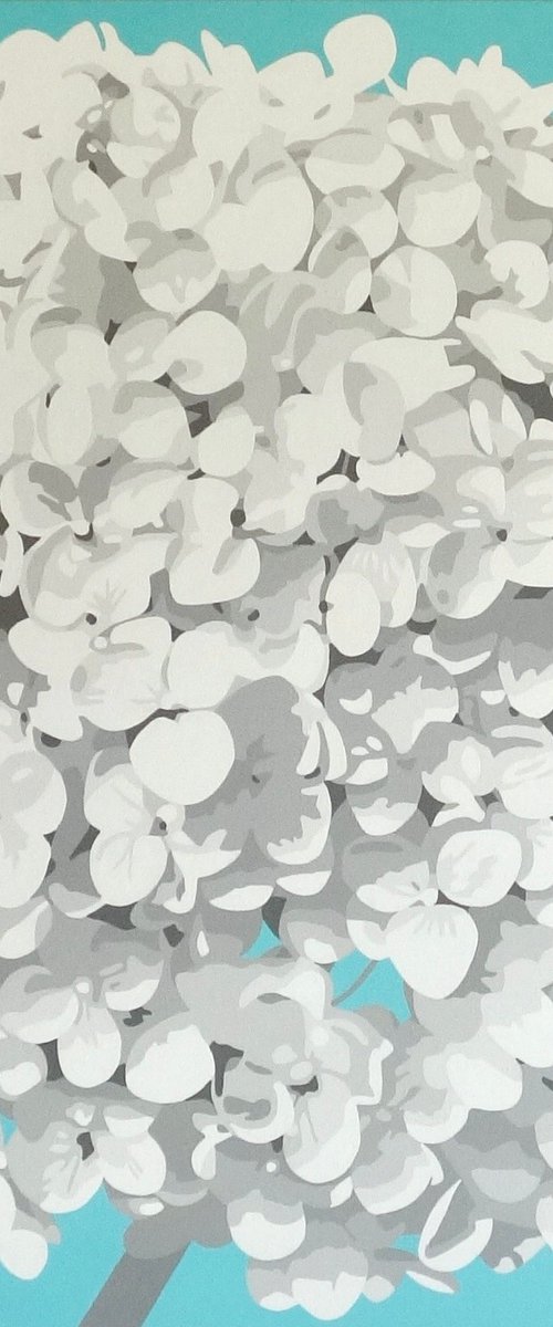Birk's Hydrangea by Susan Porter