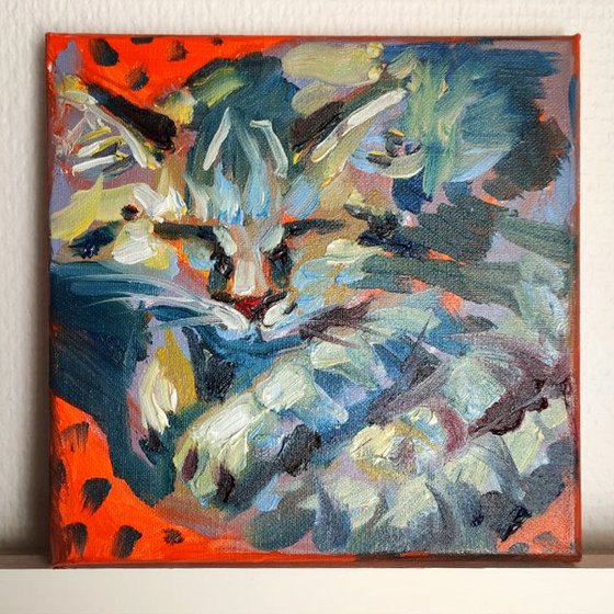 Cat is sleeping Original Oil Painting