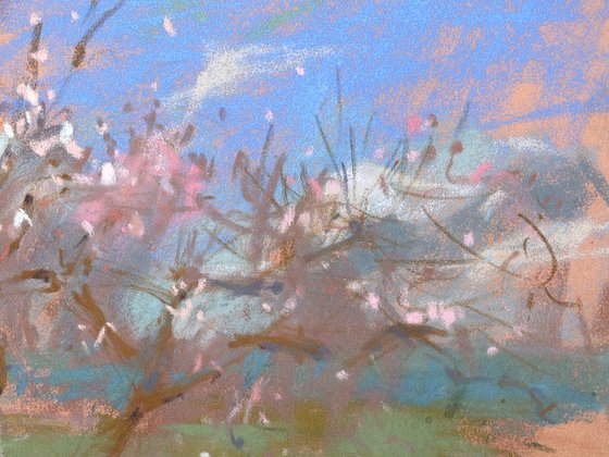Colors of Spring