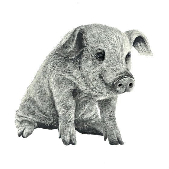 Farm Animals Series - Piggy