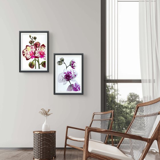 Twin Wild Orchid Purple