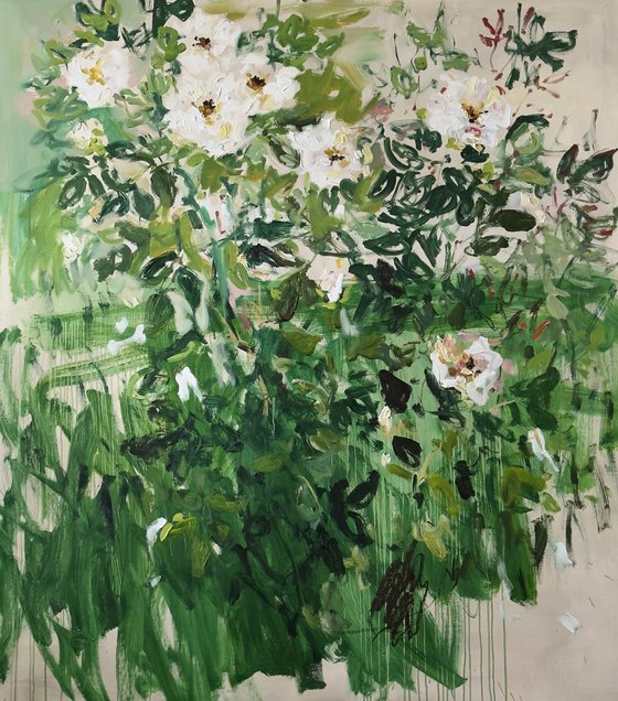 White roses.