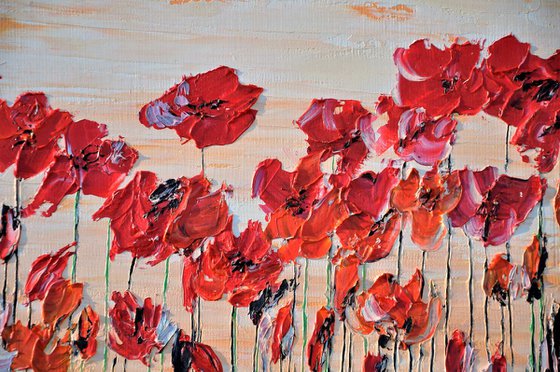 Wild Poppies 8