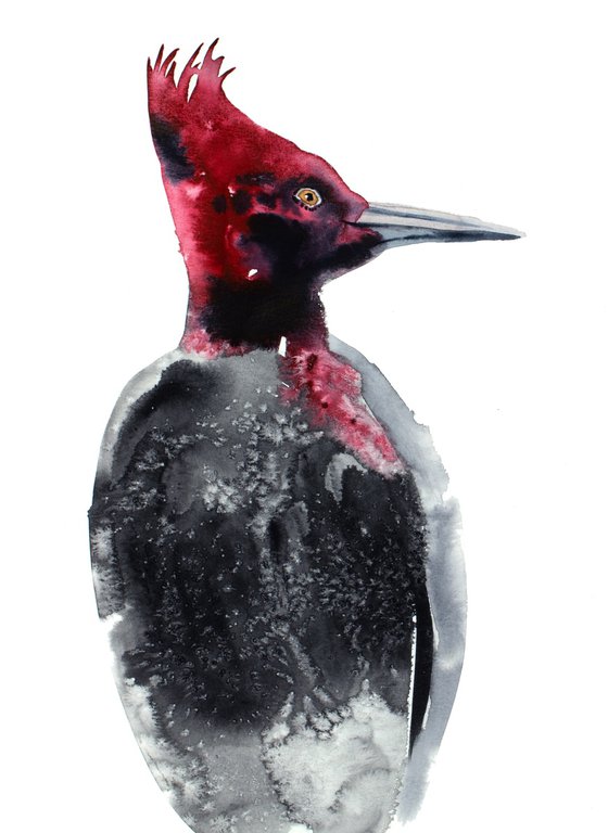 Pileated Woodpecker No. 2