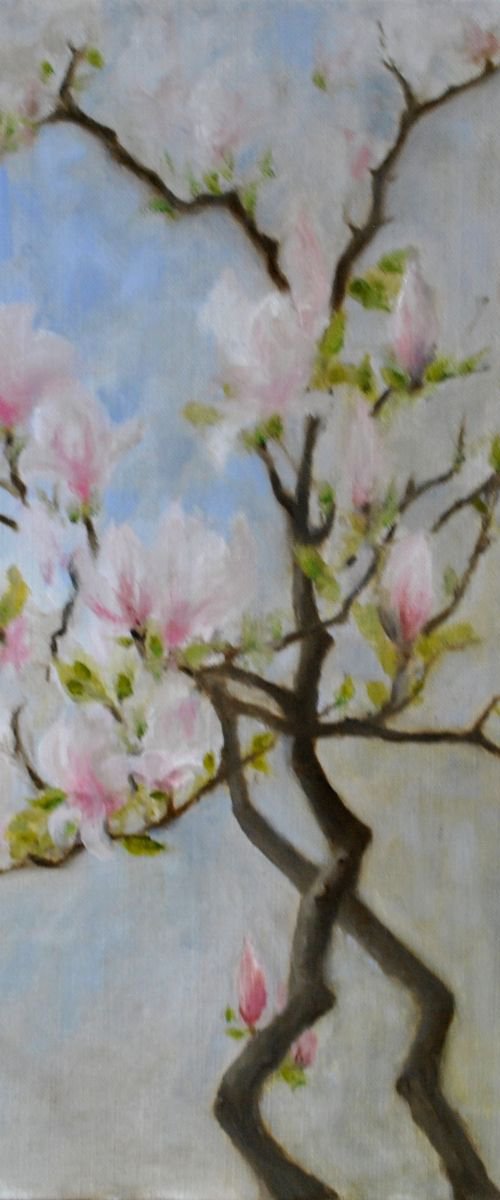 Magnolia Magnificent by Daniela Roughsedge