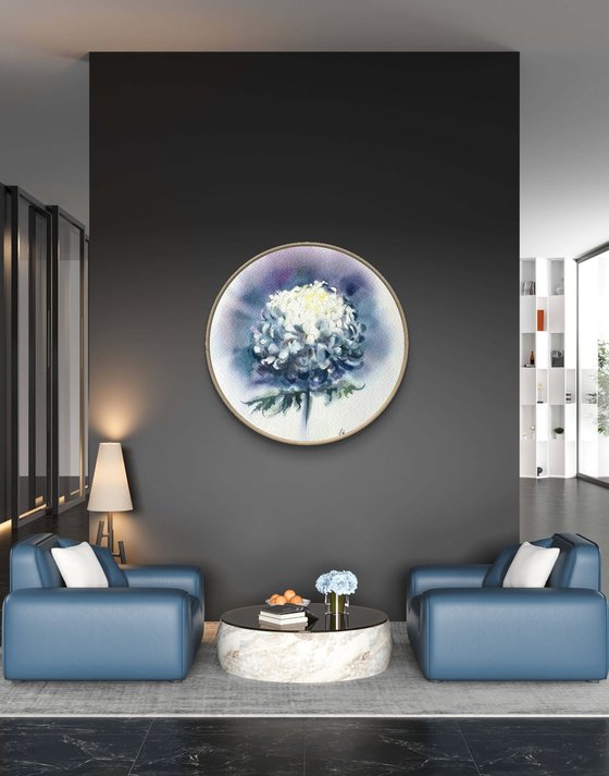 Chrysanthemum white flower