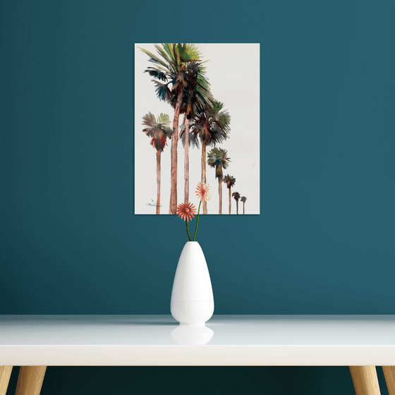 Desert Palm Trees