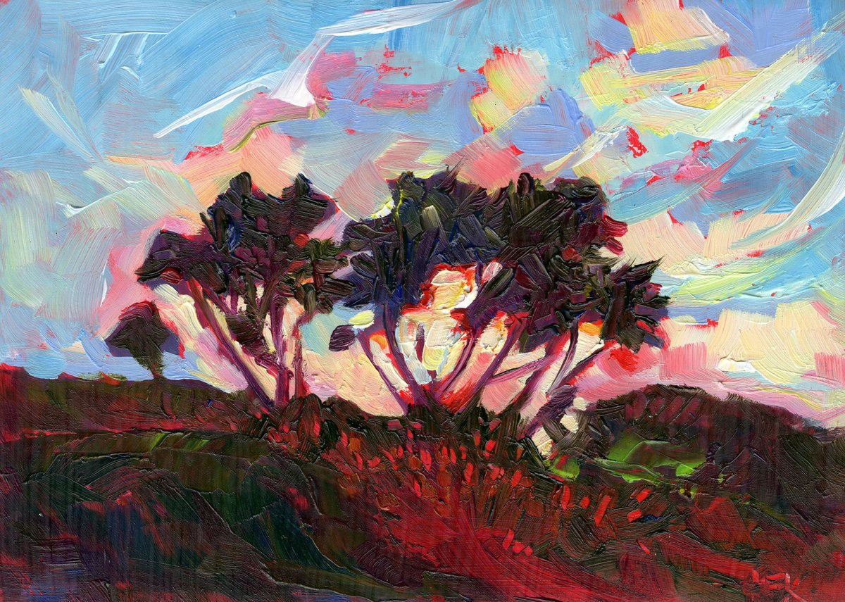 Sunset Trees, Blakeney by Mary Kemp