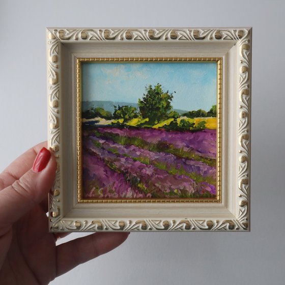 Lavender Field and Trees