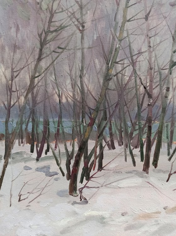 Winter landscape