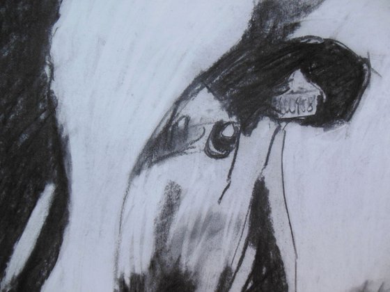 Cow Drawing I