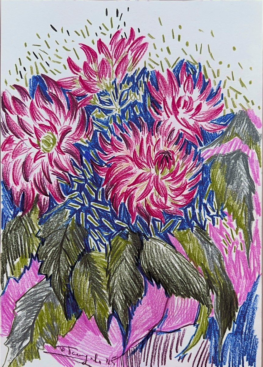 Graphic Botanical Pencil Drawing By Yuliia Pastukhova, 8 X 11", Dahlias Flowers, Original Artwork