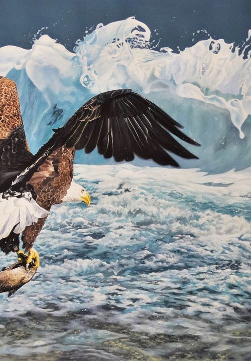 Pacific Rim Bald Eagle by Julian Wheat