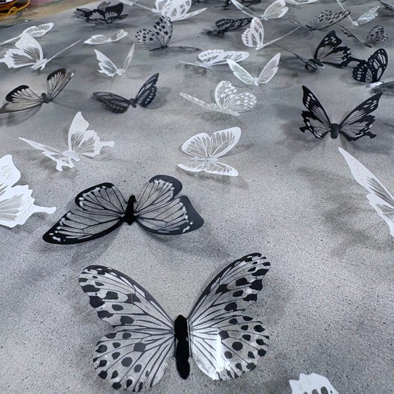 Mono metamorphosis