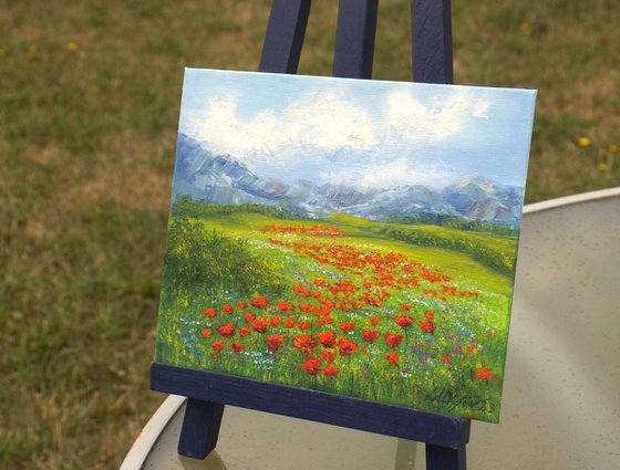 Small poppy field