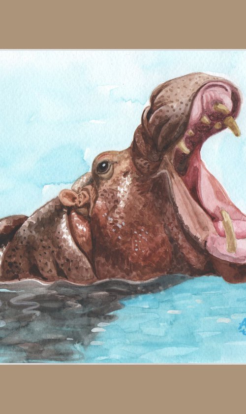 Hippo by Jolanta Czarnecka