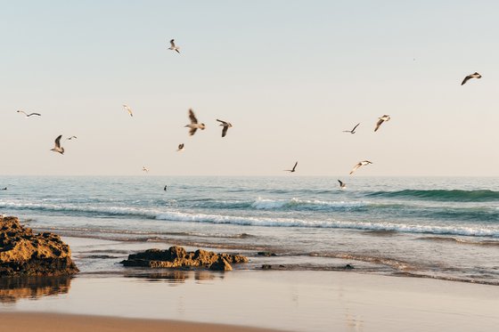 Peace of Mind