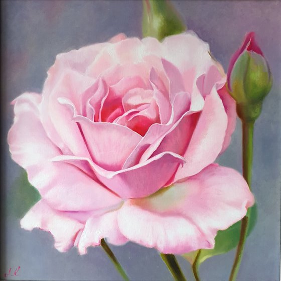 "Sounds of tenderness."  rose flower  liGHt original painting  GIFT (2021)