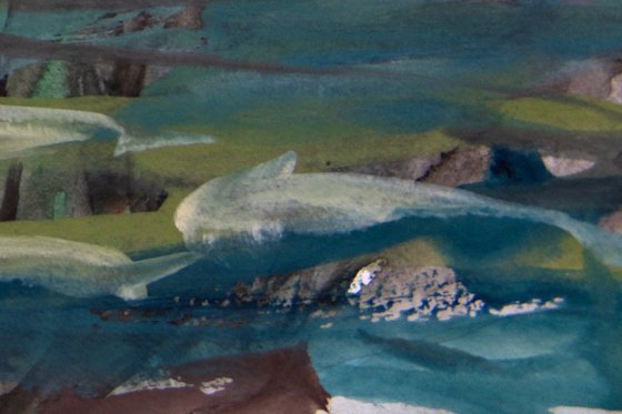 Light on the Marshes