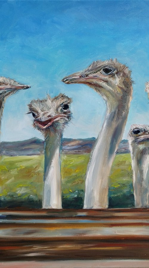 Ostriches At The Window by Jura Kuba Art