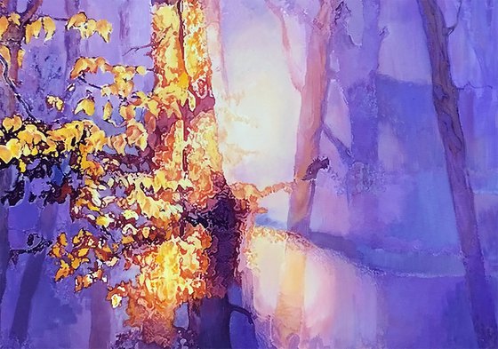 AWAKENING SHADOWS