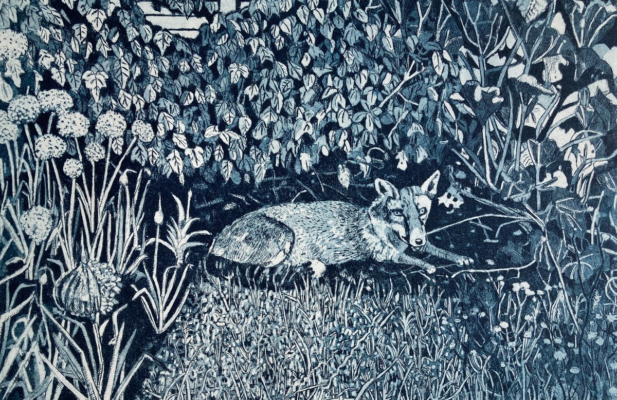 Illustrative Animal Etchings & Engravings By Janis Goodman, 15 X 10, Allotment Fox, Original Artwork