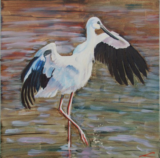 Oriental stork