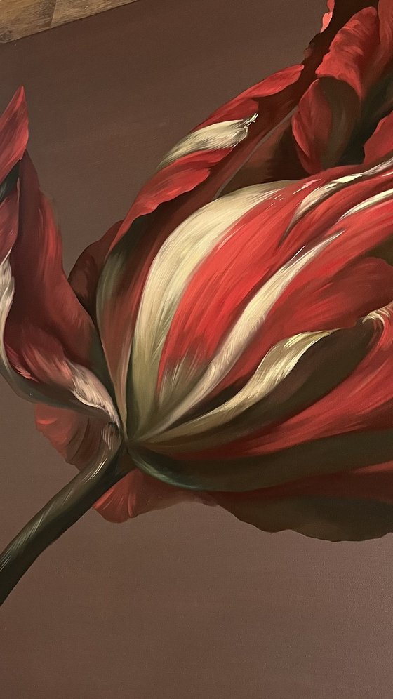 Old Holland flower 13