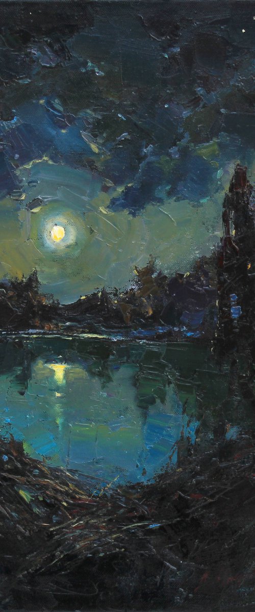 "Full moon in grey-green" by Alisa Onipchenko-Cherniakovska