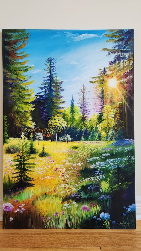 Sunlit Meadow.