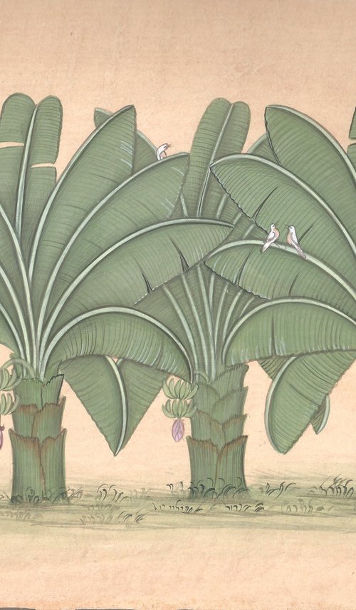 Royal Banana Plant | Indian Miniature Art by Mukesh Swami