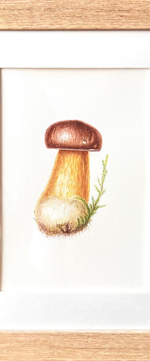 Pretty Little Mushroom by Tetiana Kovalova