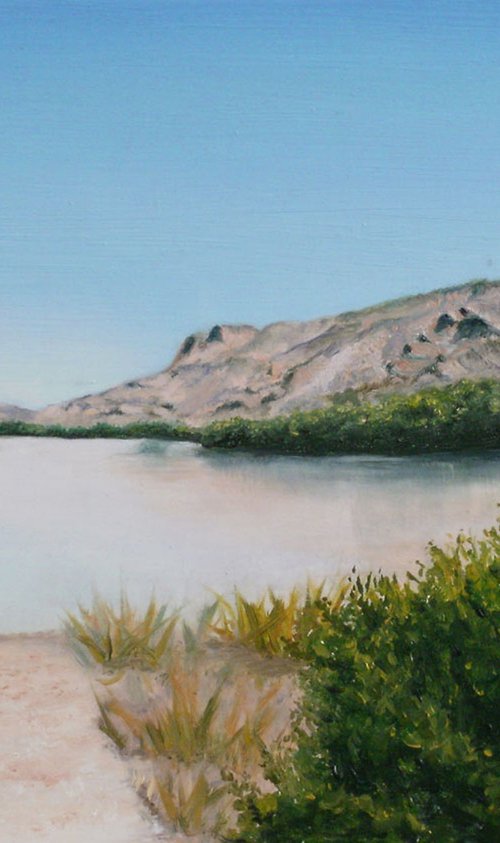 Summer on the Rio Grande by Carmen Badeau