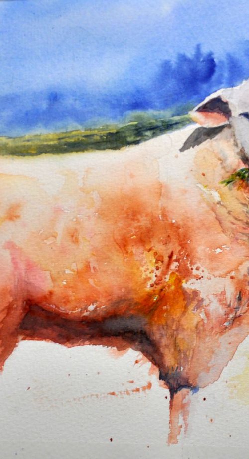 SHEEP original watercolour 34X25 by Beata van Wijngaarden