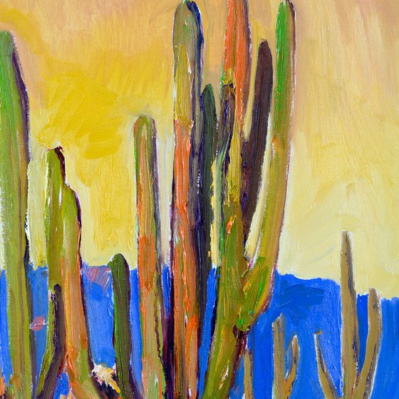 Saguaro Cactuses, Arizona