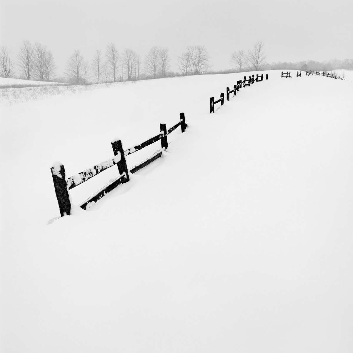 Fence Line 01 by Jason Robert Jones