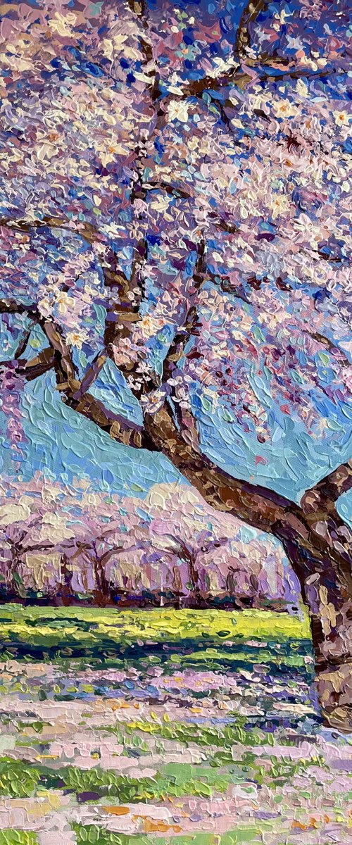 Almond Blossom Tree by Adriana Dziuba