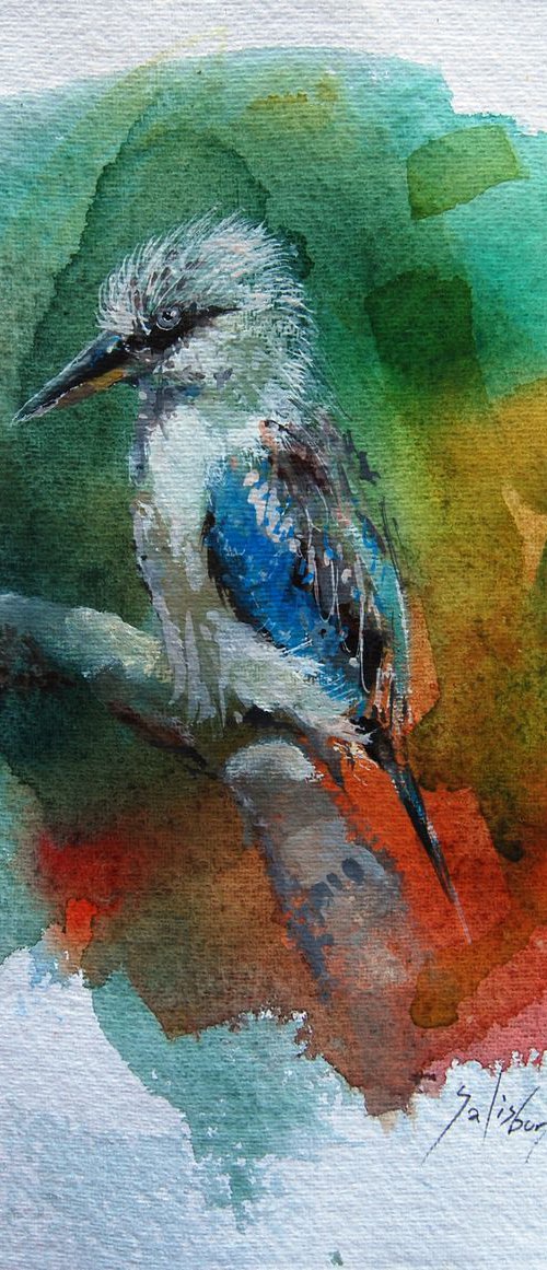 Blue-winged kookaburra by Trevor Salisbury
