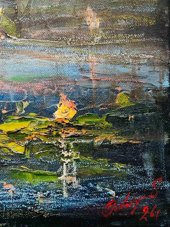 Water Lilies