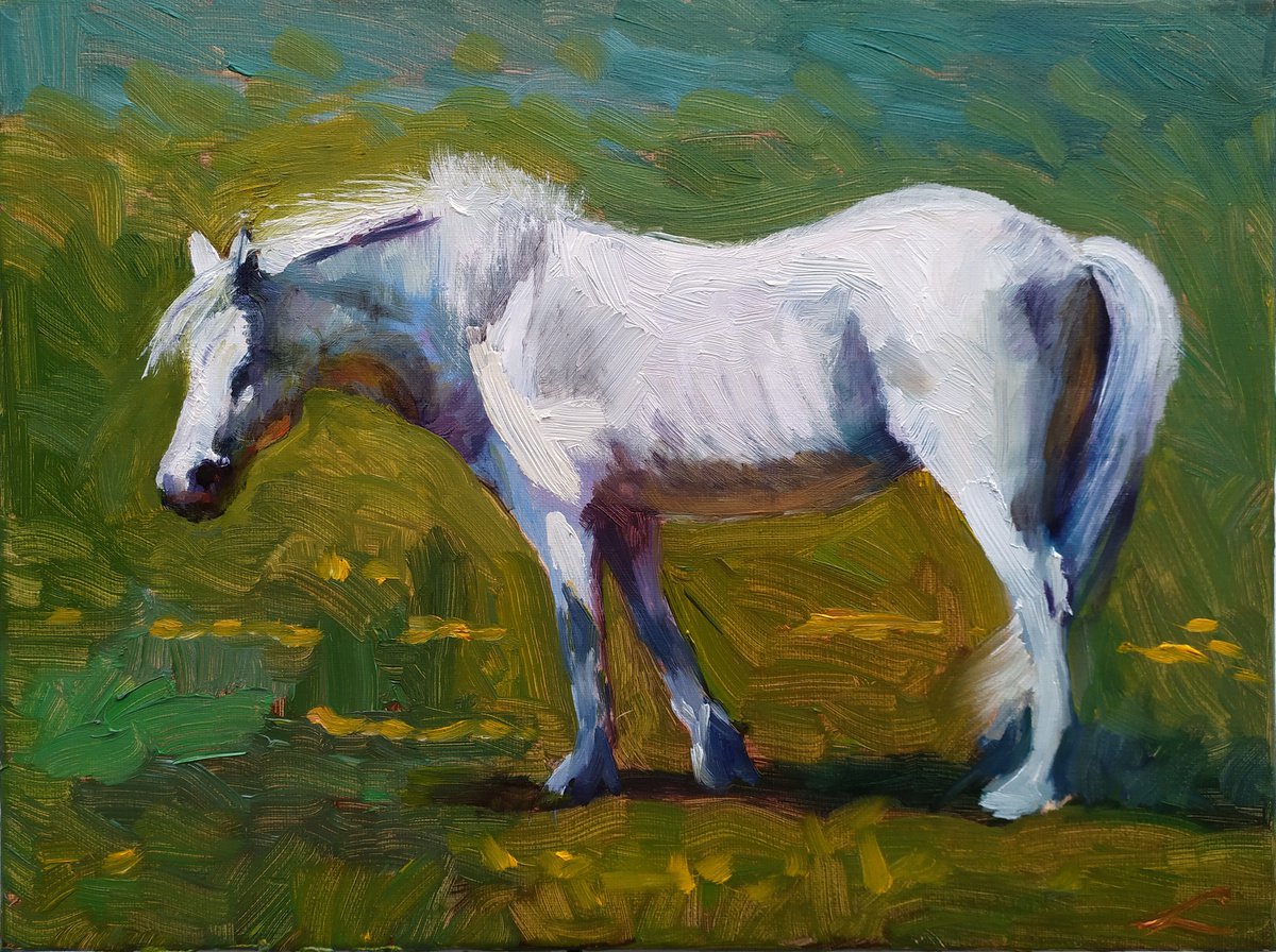 White horse by Elena Sokolova