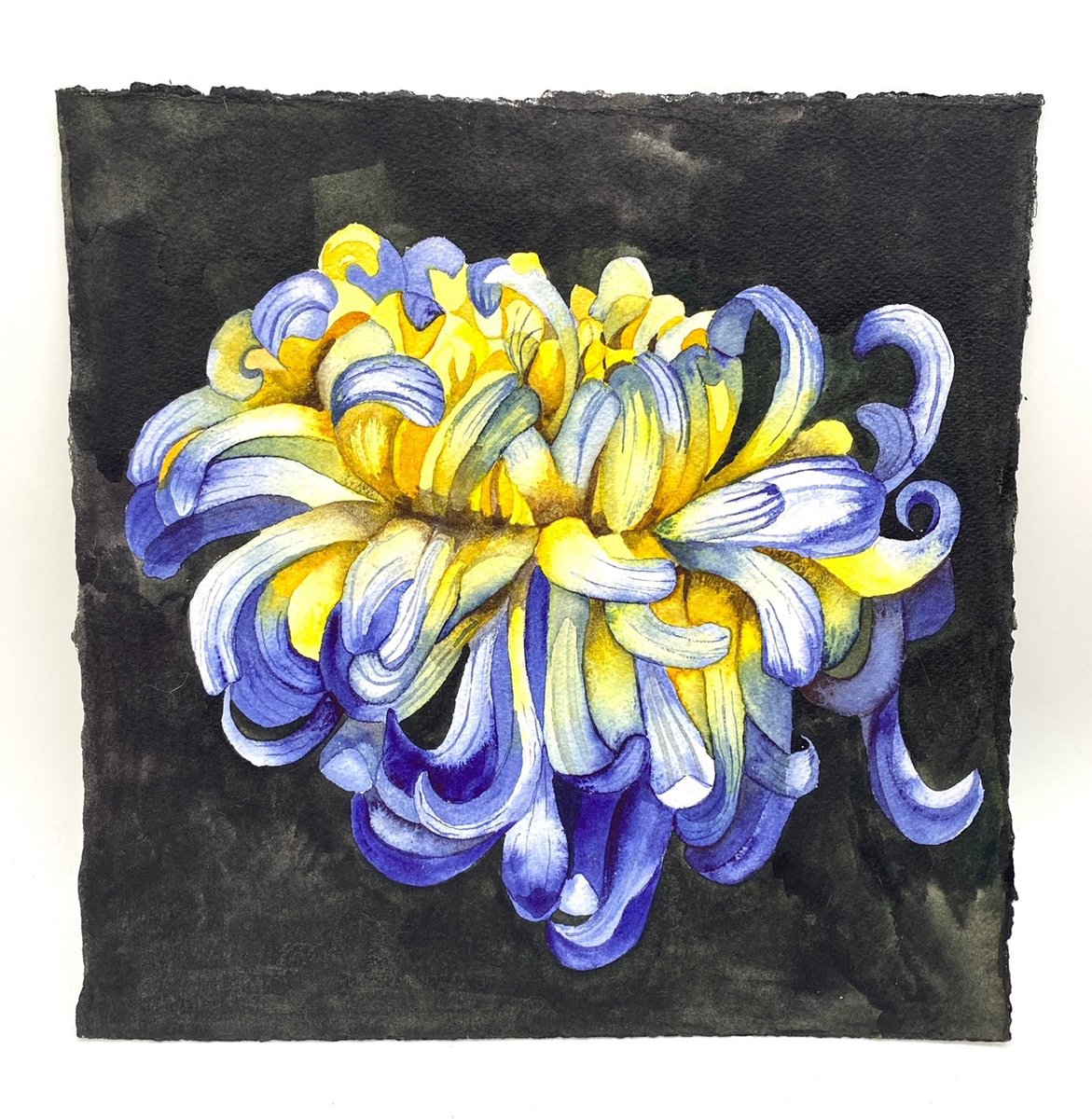 Surrealistic Botanical Watercolour By Mary Lyn Gough, 15 X 15", Austin Nights, Original Artwork