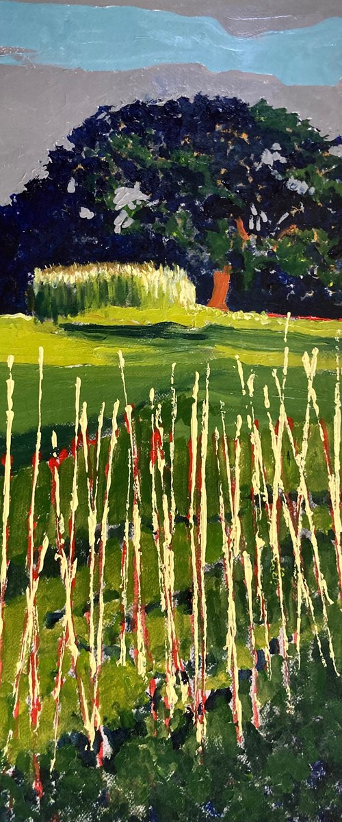 Stake out by John Cottee