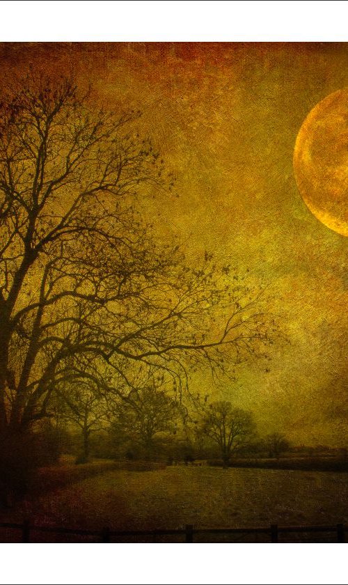 Dark moon rising by Martin  Fry